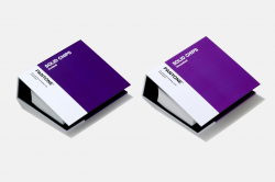 PANTONE SOLID CHIPS (2-BOOKS) GP1606A