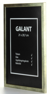 RAM GALANT SILVER 21X29,7 A4