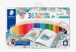 STAEDTLER ERGOSOFT FÄRGPENNA 36 SET PLÅT