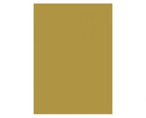 FOLIA KARTONG 50X70CM GULD & SILVER 